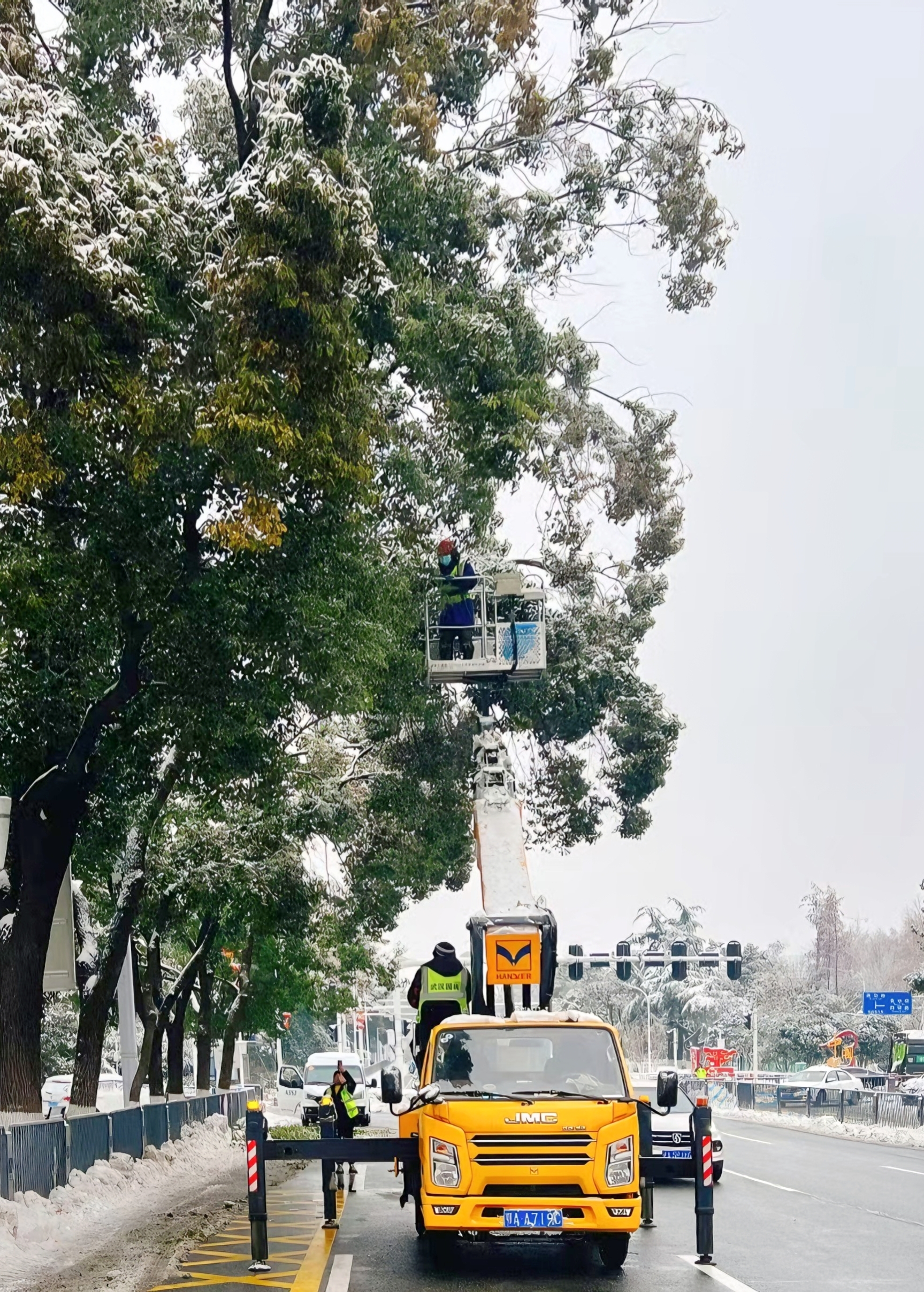 必一体育官网下载园林部门上线余条城市主干道的断枝全部清障完毕(图1)