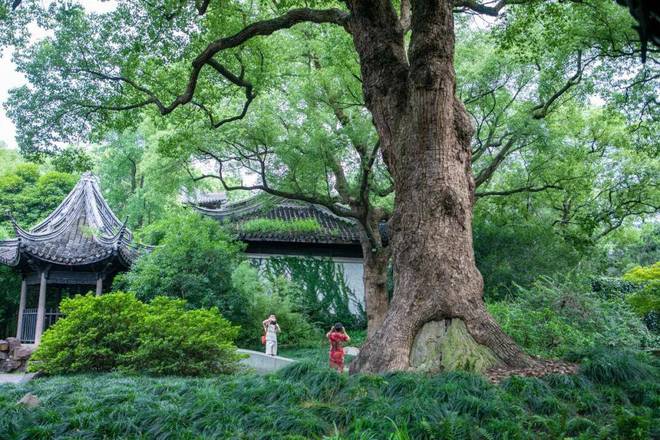 必一体育中国最美的六大古典园林北京有一座参照无锡而建你去过几个？(图3)